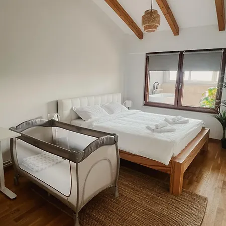 Apartment Ikigai Penthouse Centar *