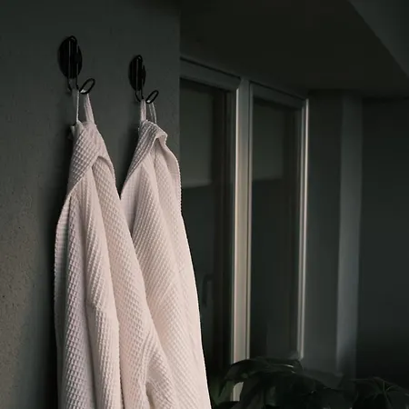 Ikigai Penthouse Centar Apartment *