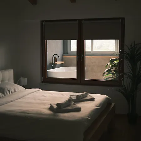 Ikigai Penthouse Centar Apartment *