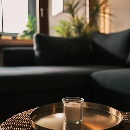 Ikigai Penthouse Centar Apartment *